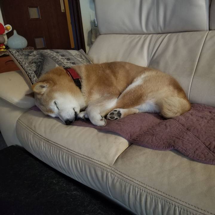 Bb09d0d7 b658 41da a940 87268c595c41 1741557628043