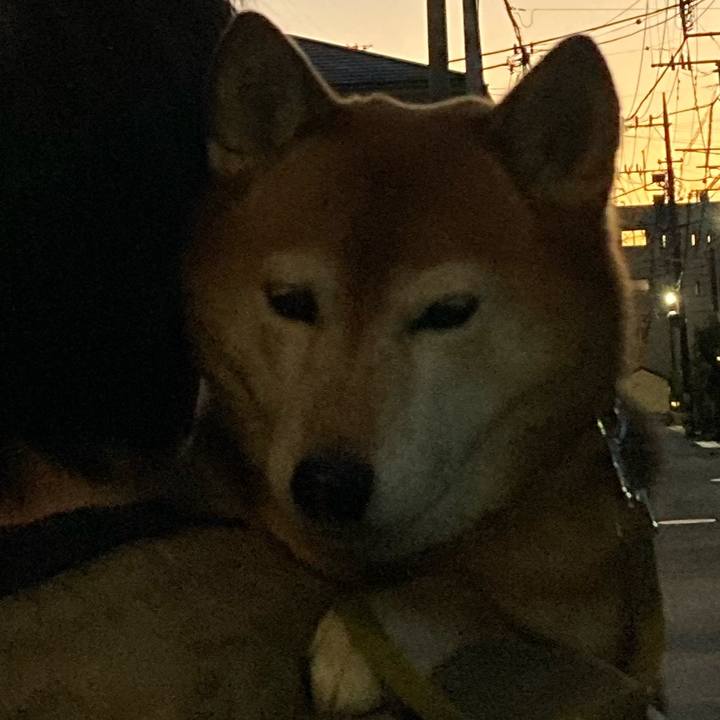 Bb09eefc b145 45fa a88f 64f4b337559c 1672043931076