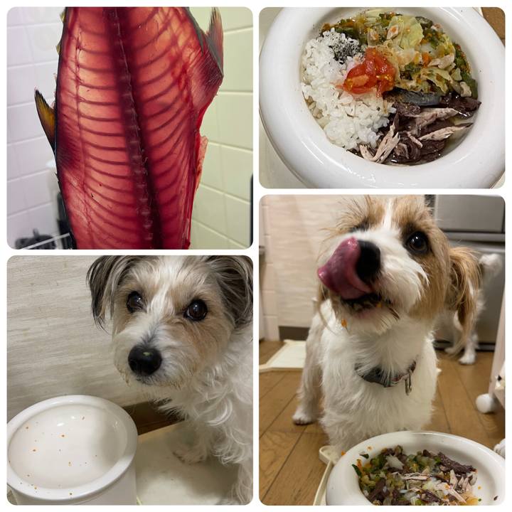 Bb0a0ac3 61d1 44a7 be45 1dfd33d8833b 1769000856188