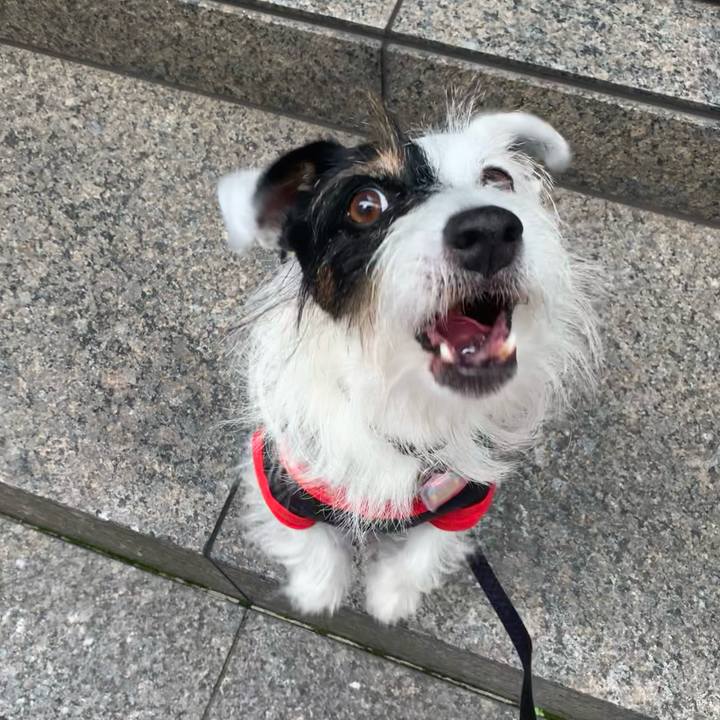 Bb0a3023 07ad 48b4 af1f 1b28ad1473a6 1665286635057