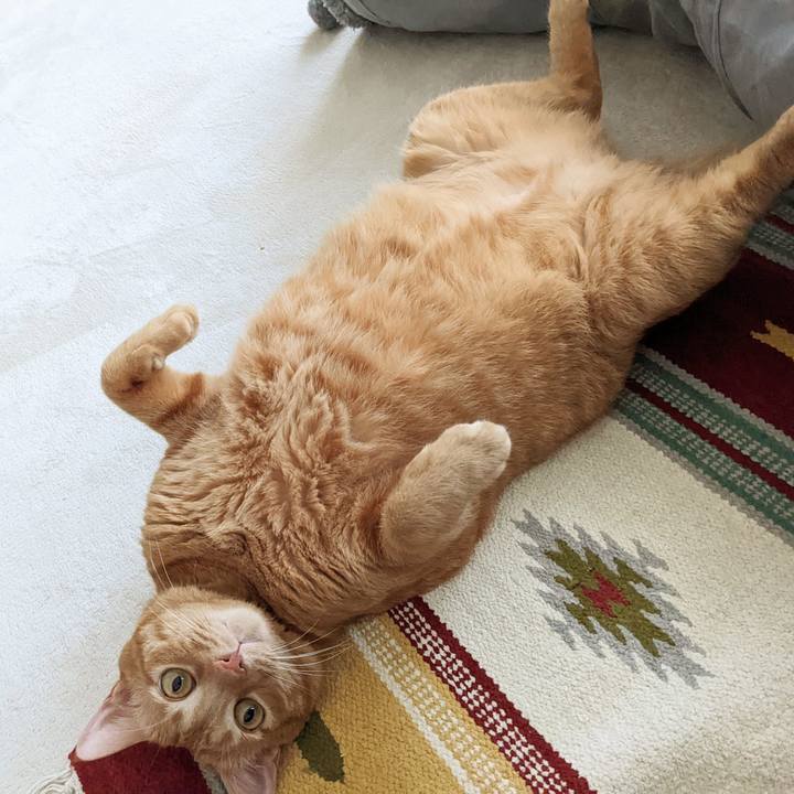 Bb0a3bd6 0aa5 45eb a74e b6f7580cbaf1 1659836915870