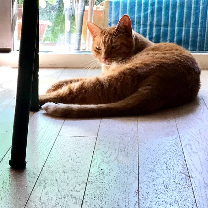 Bb0a8f84 ada1 4b77 a53a cb015973ca0b 1509162387459