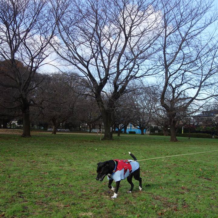 Bb0a912c cdb5 4f03 9727 3b248cb88894 1670549578725