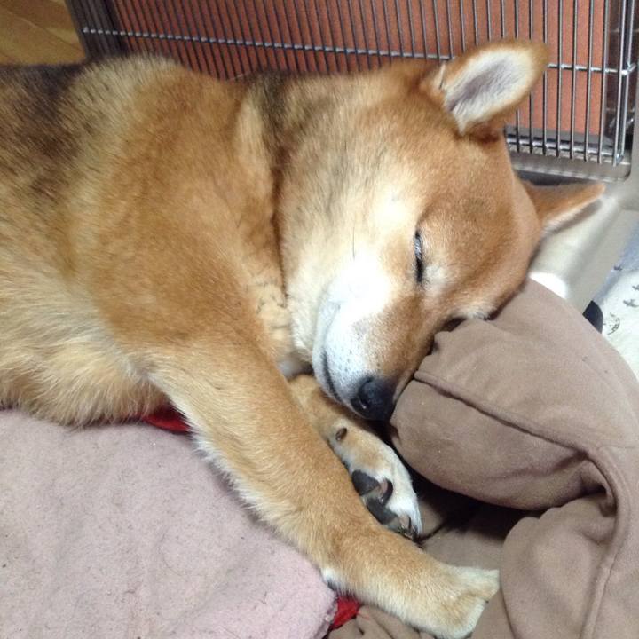 Bb0a989f d859 428a 88f8 ea80273faade 1520725885605