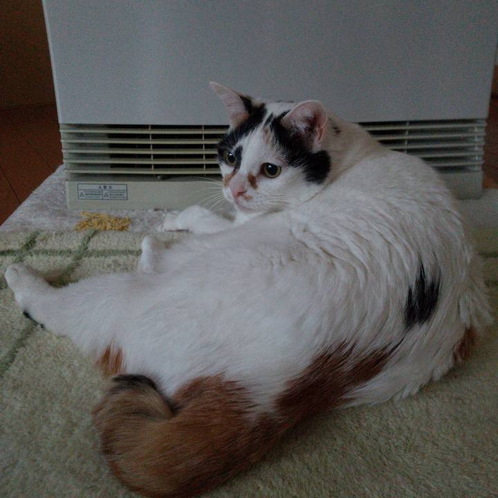 Bb0aa012 9826 47d9 9c60 226e7061de72 1639608524589