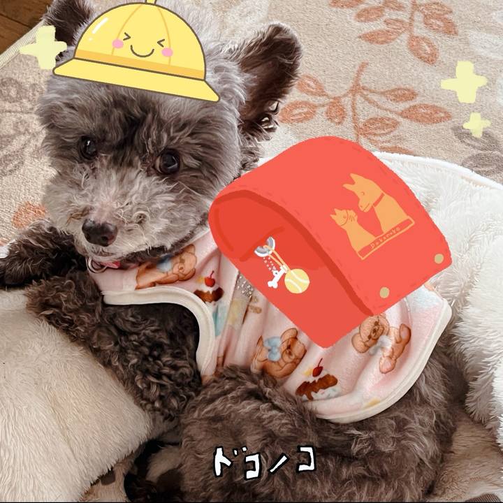 Bb0ad667 3146 4aae 8397 a9f1fa3a2a51 1744270100249