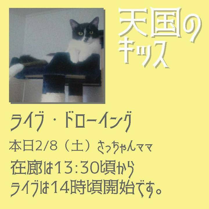 Bb0b24d3 1d0a 43e7 a406 bf01a300b0fc 1581121848022