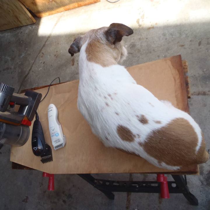 Bb0b2b6a 89db 4068 8a8e 079098157258 1554809624941