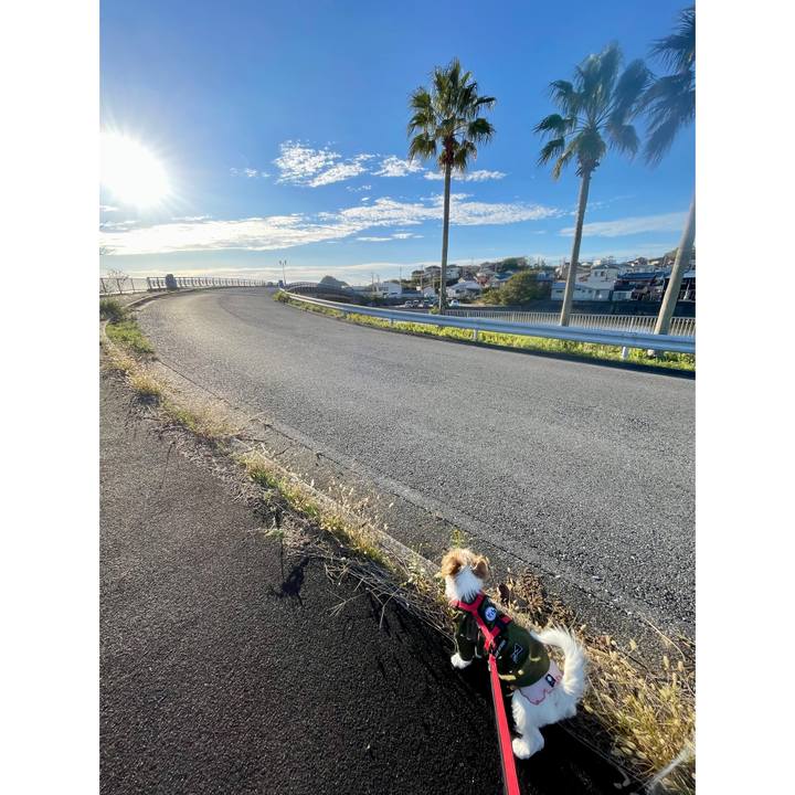 Bb0b39fa d2a3 4f35 a3ce 4412e5a94eaf 1762954355846