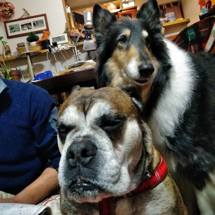 Bb0b467b bc2b 4c4a 839a 9a207c5e1e77 1545222076010