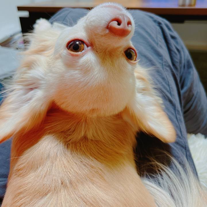 Bb0b597e 9c4a 4486 8cec 2211879fca90 1652234351301