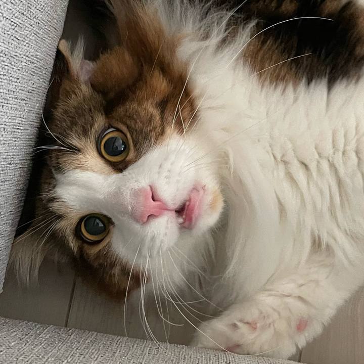 Bb0b6841 1300 4979 9133 e0935611bd98 1648246370055