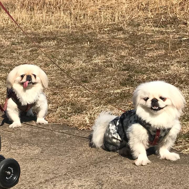 Bb0b6b5a 0353 4246 8678 445094518331 1518872254599