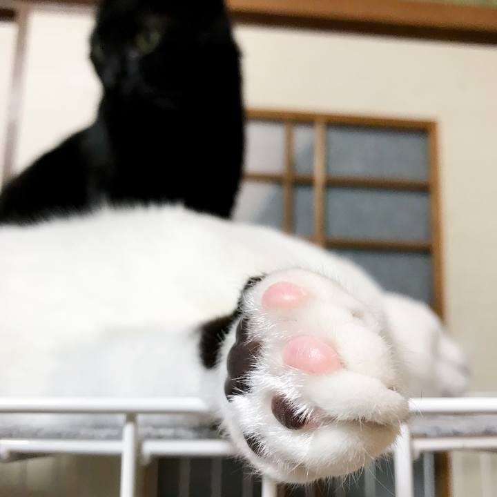 Bb0b7c85 d626 4768 9c2b 05b6256a9b23 1522503869814