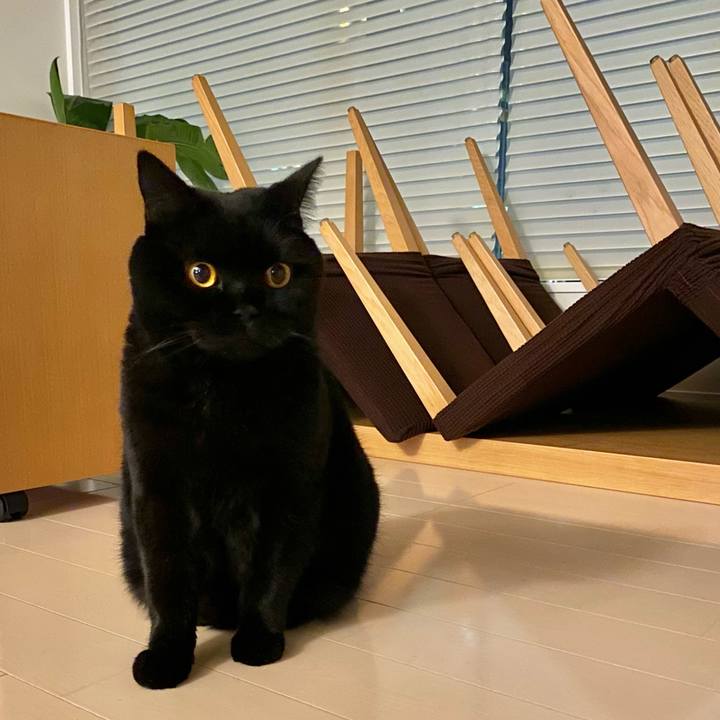 Bb0b8663 4e1d 4366 92e4 c934bdf08348 1670071757228