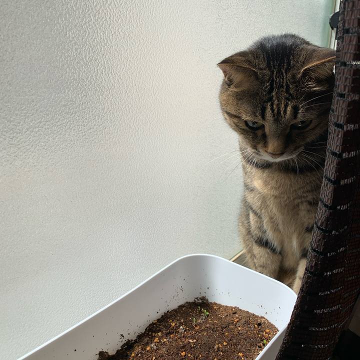 Bb0b9e9a 32f4 4056 93fc 84056701f7b5 1775307733271