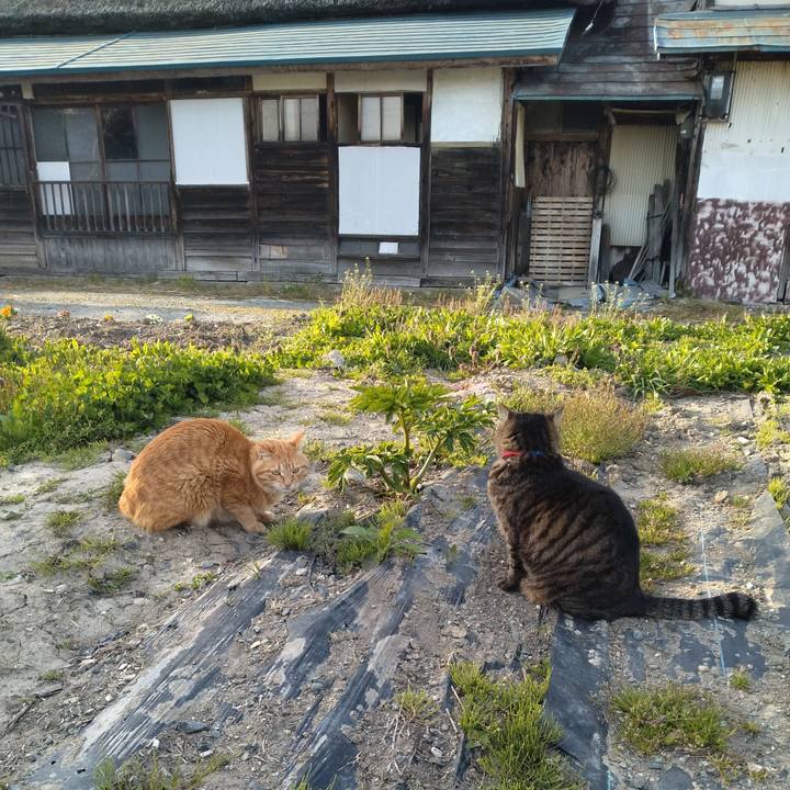 Bb0ba911 504e 4fa6 bb9d 465cbab199ab 1682331703126