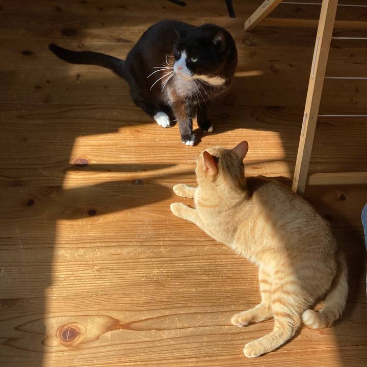 Bb0bb389 8e46 402a b896 677943318955 1623370863818