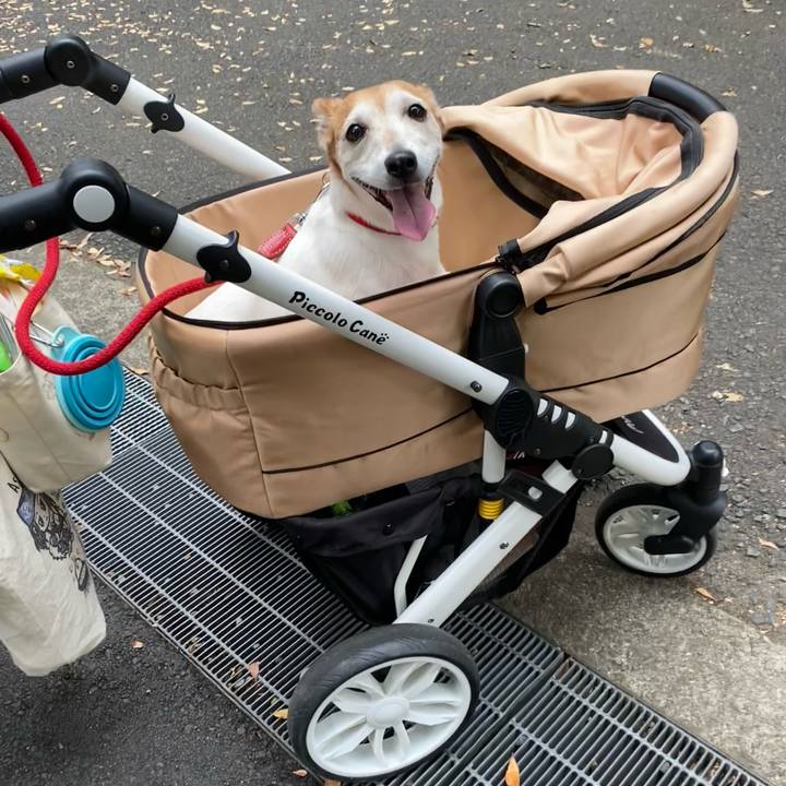 Bb0bb8a4 43c7 482a a4fa 2b5c67562183 1699089797262