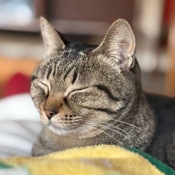 Bb0bc302 1809 4f54 8740 8596057d8f94 1770532298984