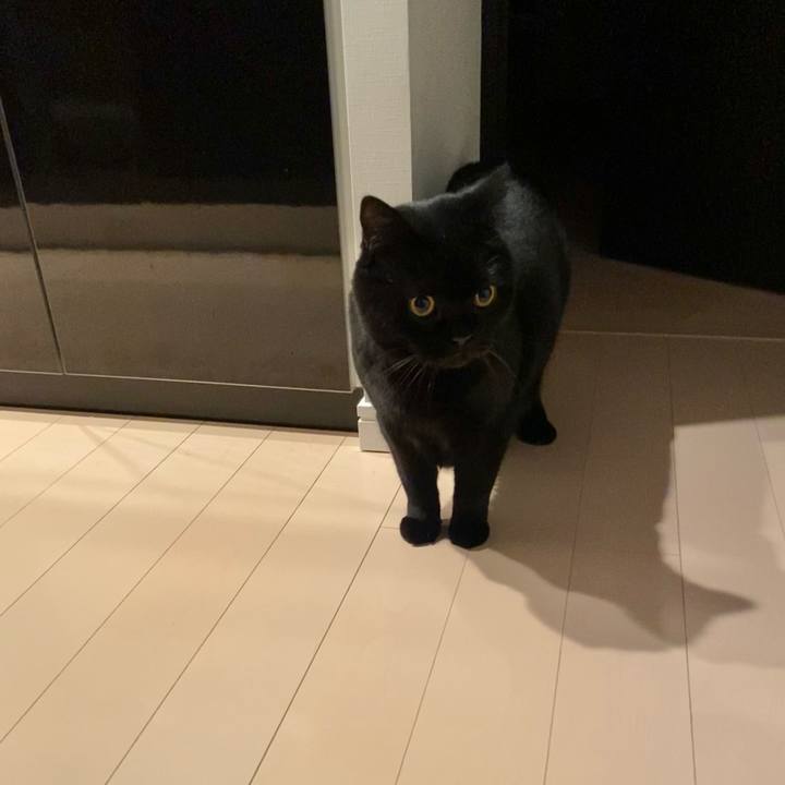 Bb0bd5fb 3773 425d a261 8ab2d518950b 1734524970192