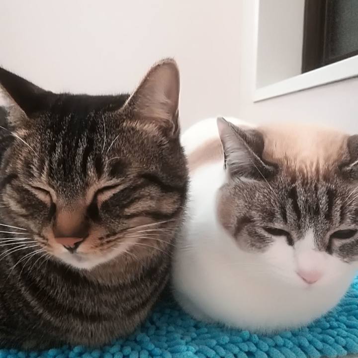 Bb0bffb3 c4b3 41cd abcf 40c18f008b78 1516460916343