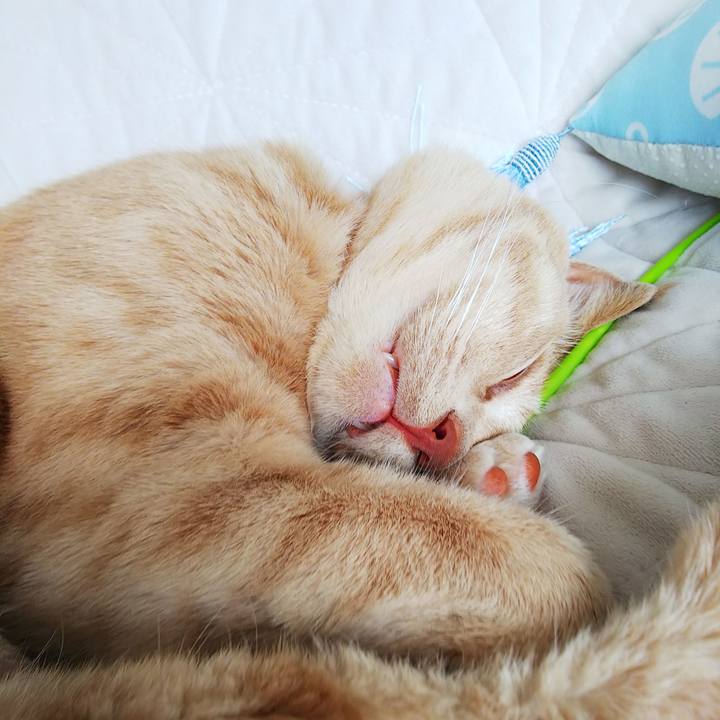 Bb0c68b2 2434 4e93 adc5 ac7a546f12e0 1595284718138