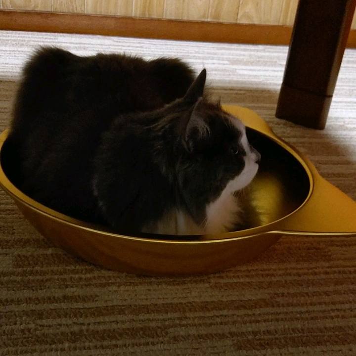 Bb0c8c64 aed7 4ab8 8d0c a8fe7cd56616 1590833683031