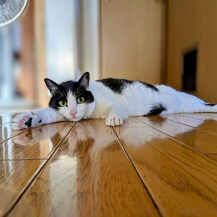 Bb0cac4f 8ea1 4068 baba bfcf05faebd8 1755903397130