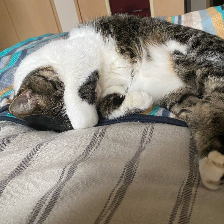 Bb0cee96 c2d0 45cb 9dfe 6599eccbf9e8 1603166071003