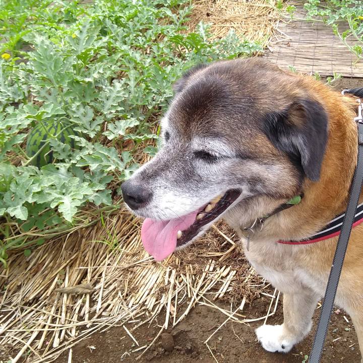 Bb0cffbf 0b84 4154 9f30 987b0dc0418c 1561679994248