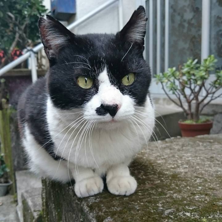 Bb0d562b ba94 46c0 b4f3 b31c0ebdc8e9 1517286031995