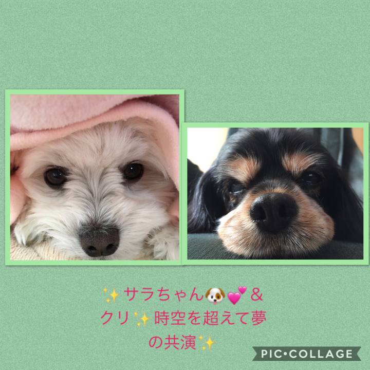 Bb0d5638 c3bd 483d 809e 41a74e93825f 1532694762344