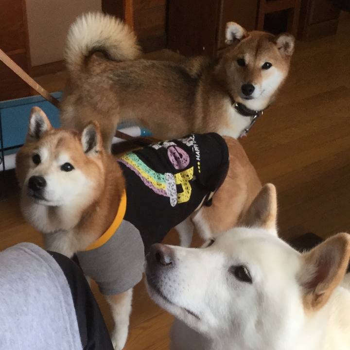 Bb0d6902 ada4 4258 97f1 485a2f86bc35 1534895655130