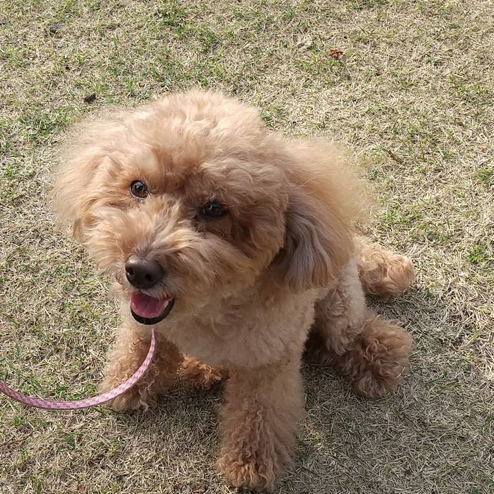 Bb0d91de 868c 420c a84f ff0615e6005c 1712048871305