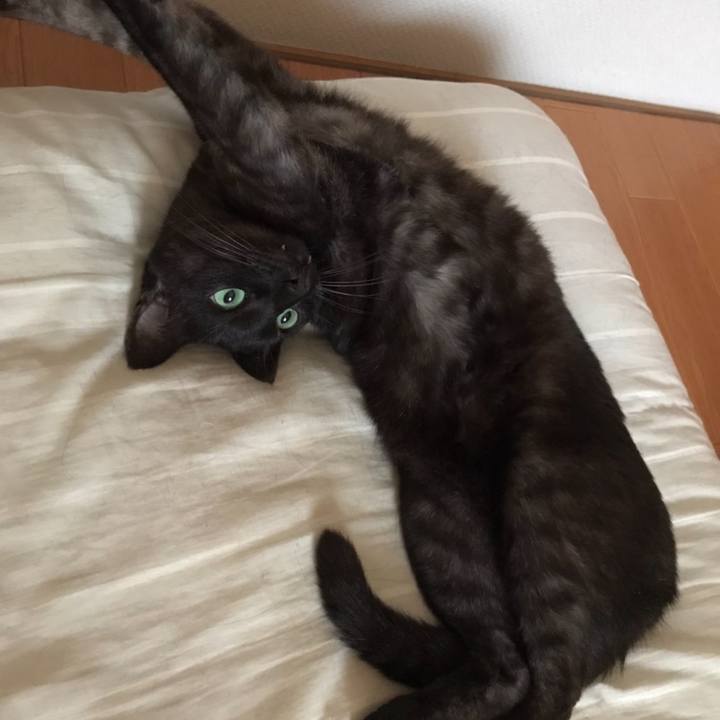 Bb0da482 78ef 46ff b71e 669cf2a861f9 1598221265954