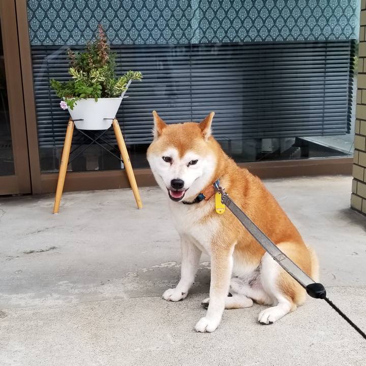 Bb0daa2d d8cb 44dc ab45 c50b9f1d1838 1568617483574