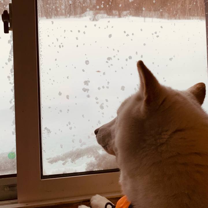 Bb0dafb8 5896 4790 b713 64ed59ef6524 1674256012621