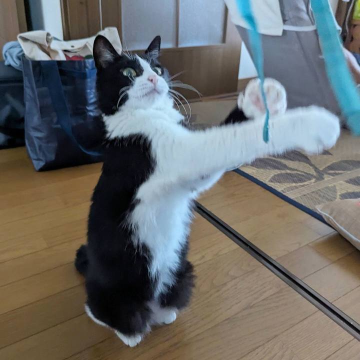 Bb0dd6b3 1bcd 4534 a42a 21ac7f5e1c32 1756014072538