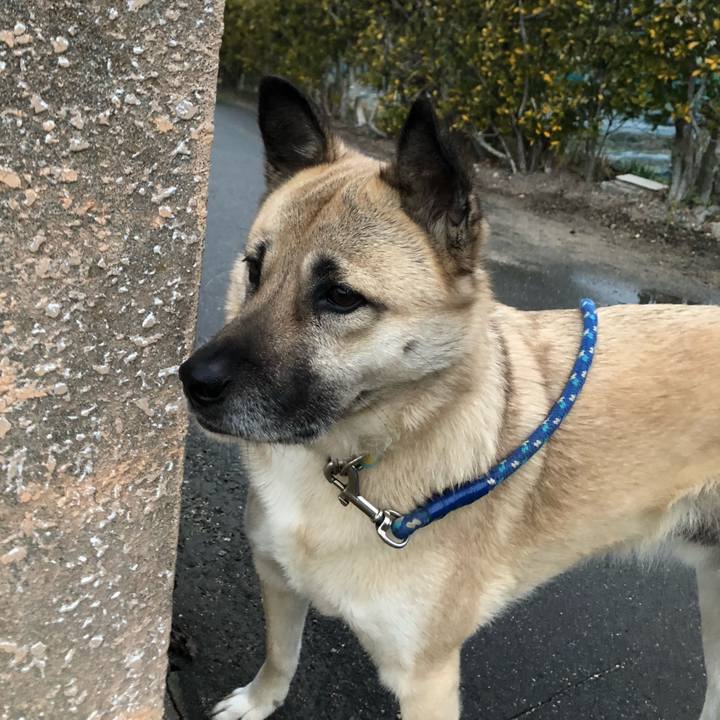 Bb0df7f5 393a 4756 949b d24d8ad138bd 1610538895618