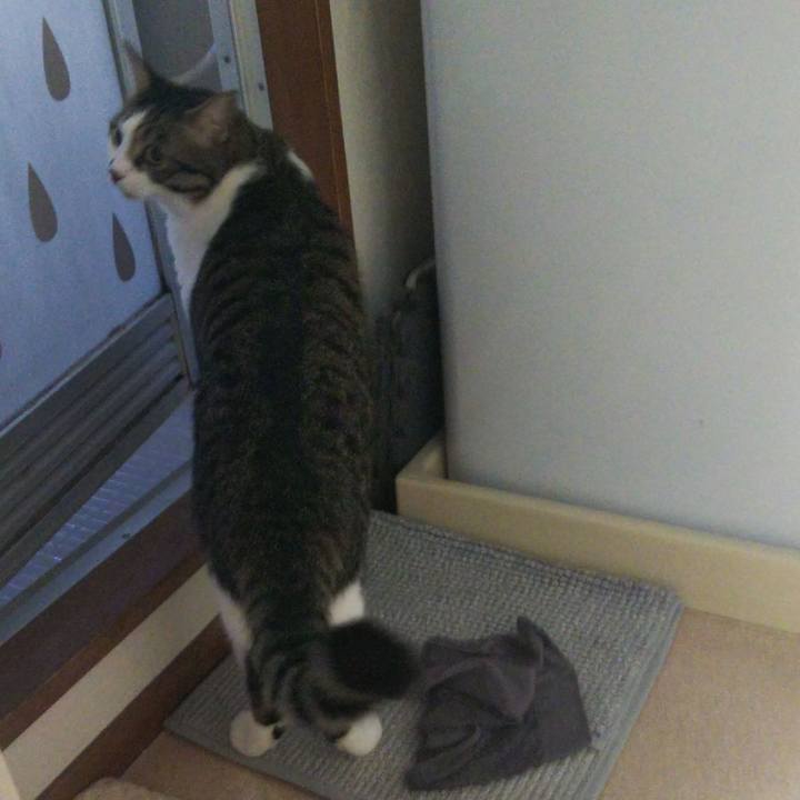 Bb0e3a5a d464 437e 9040 4e5d7a7c9a9c 1659135176316