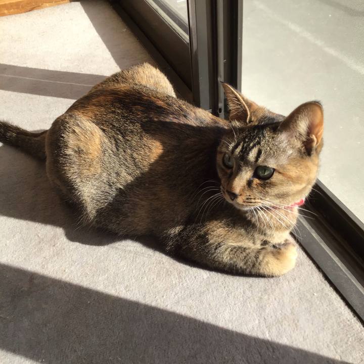 Bb0e3af9 c98a 4feb 8e76 41d1275ba9dc 1613021307929