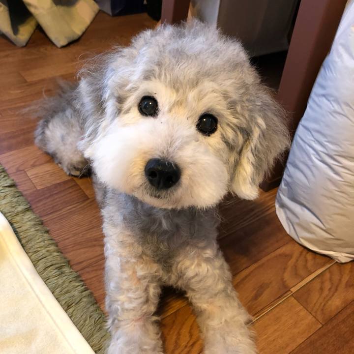 Bb0e64c6 2b3b 46d3 938f cd6ac976934c 1715074464092