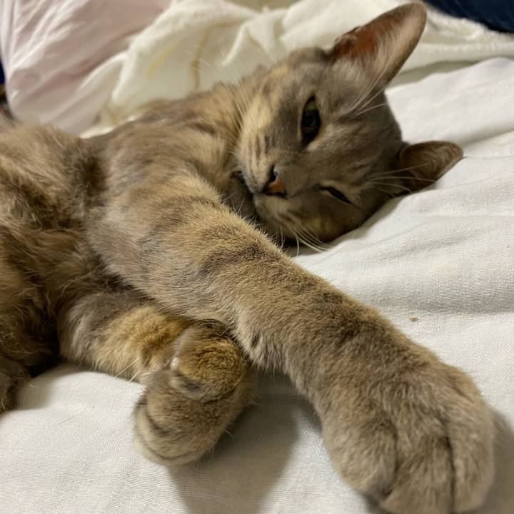 Bb0ea3eb bc70 4376 89bc 12dd7345bcff 1596427592788