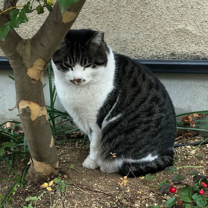 Bb0eee73 6e66 4c9e a6a3 e28ec32a8493 1514678844877