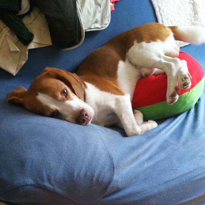 Bb0efe54 25d0 41c4 8a38 003242112505 1628306667625