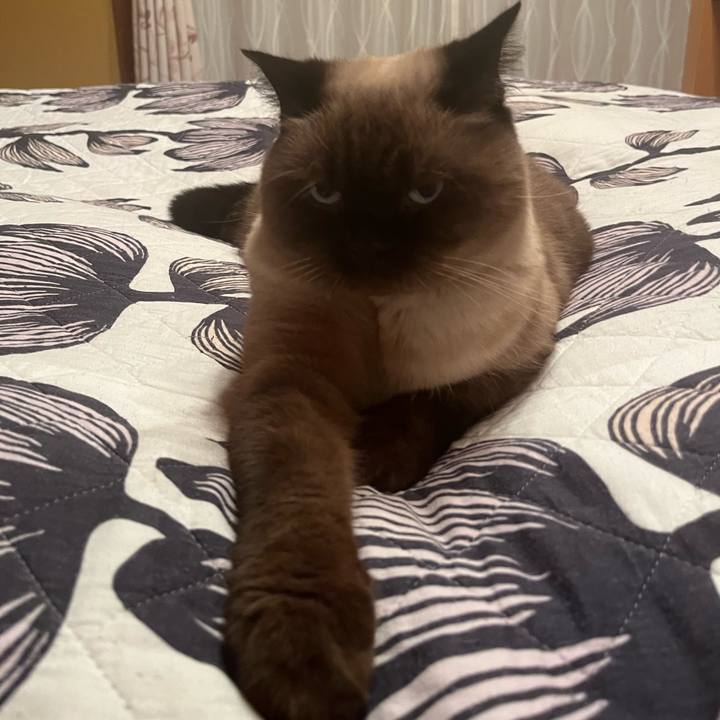 Bb0f0edb 3493 41da a8d6 e9b14b20faf3 1666782157094