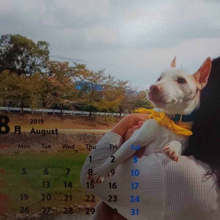 Bb0f1656 4c79 4f5e ad30 7a596907b134 1565001943398