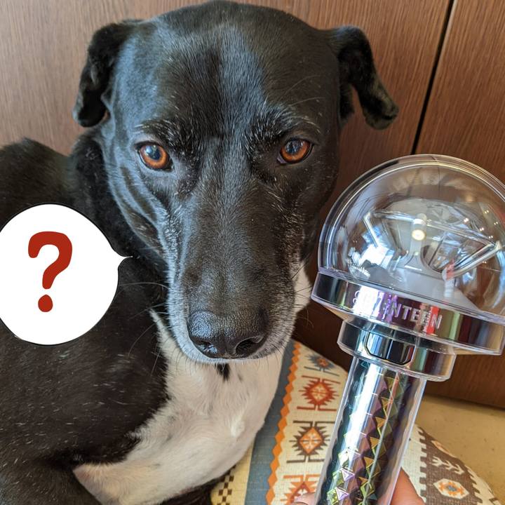 Bb0f64e5 458b 4e6d adb9 323767694795 1709081783631