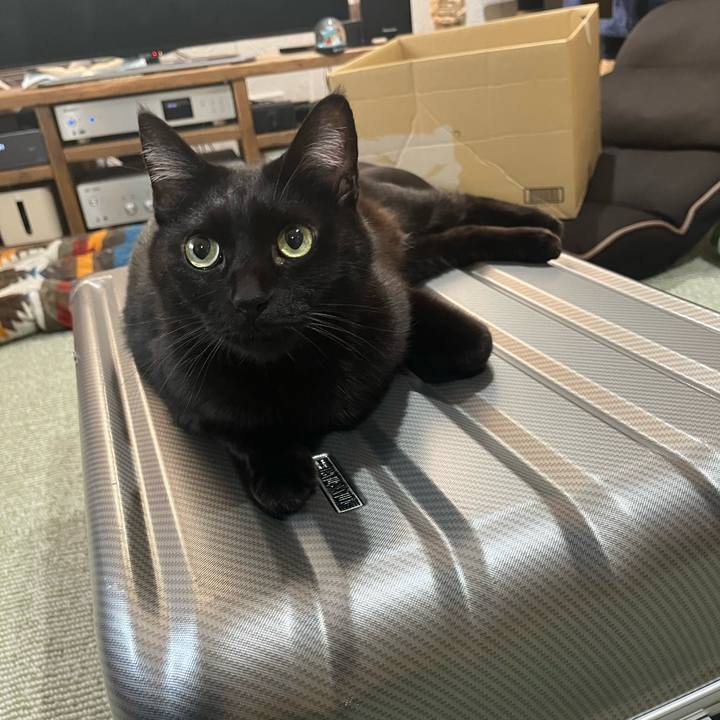 Bb0f8ca5 86ab 4619 bf2f 1acf8729dc6e 1705110876516